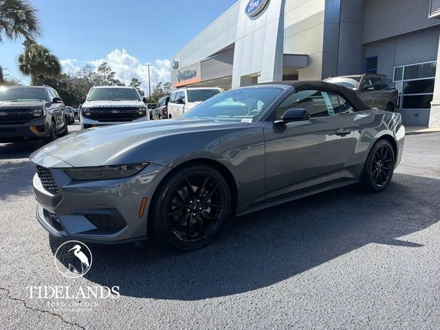 New 2026 Ford Mustang Premium w/ Mustang Nite Pony Package image 4