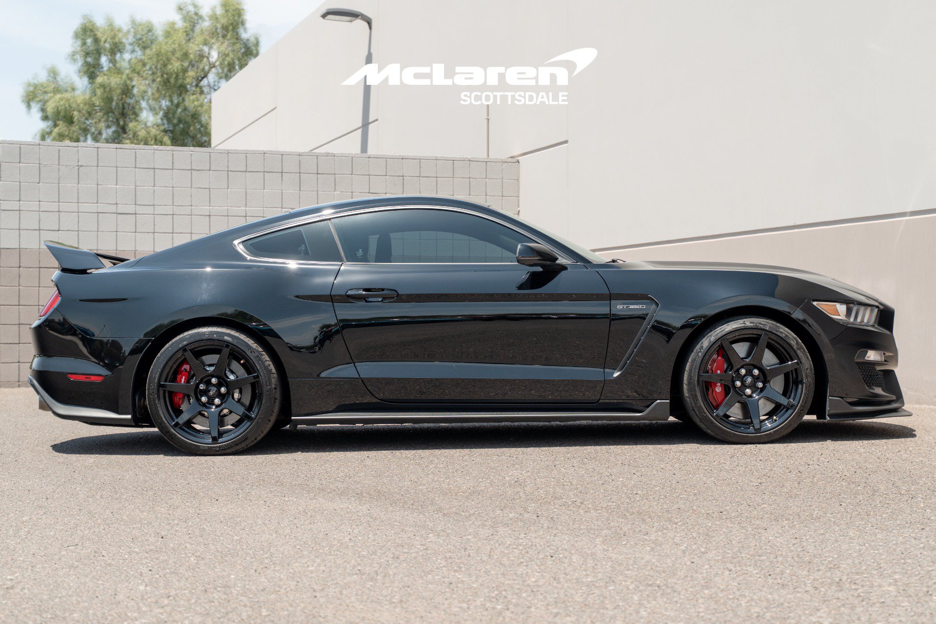 Used 2019 Ford Mustang Shelby GT350R w/ GT350R Equipment Group 920A RWD image 8
