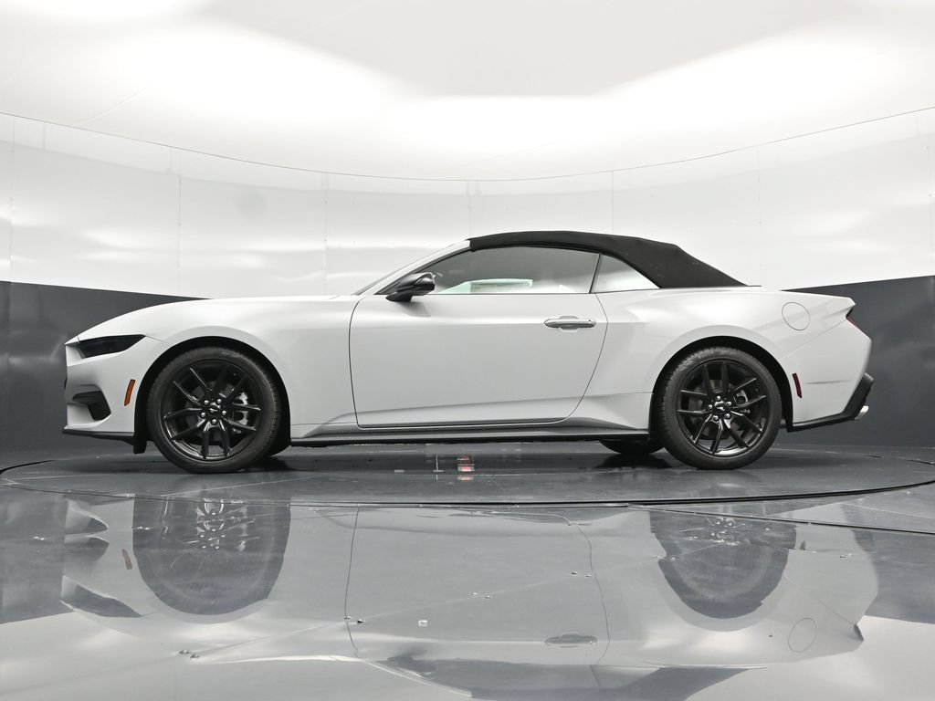 New 2026 Ford Mustang Convertible w/ Mustang Nite Pony Package RWD image 59