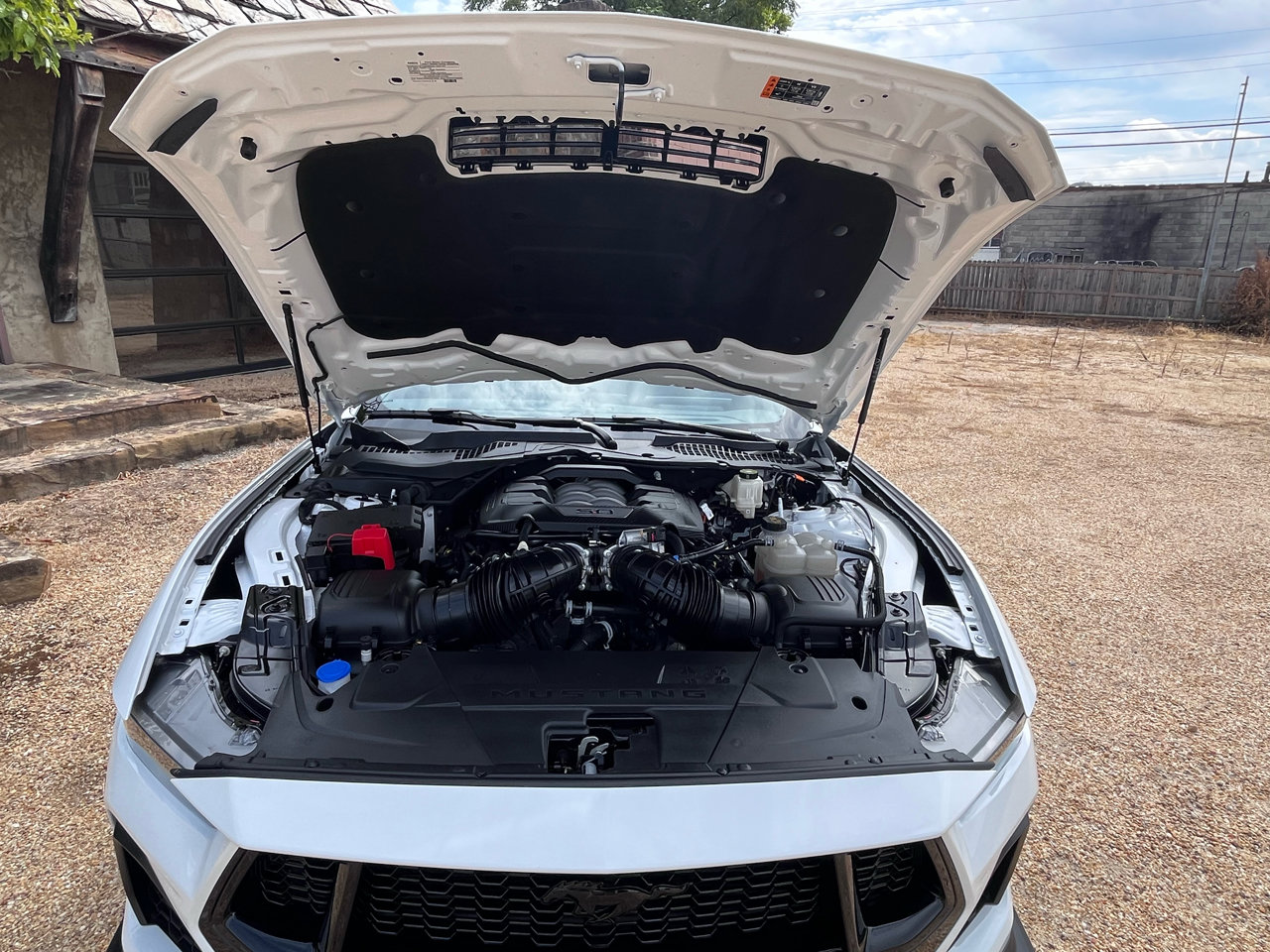 Used 2024 Ford Mustang GT image 20