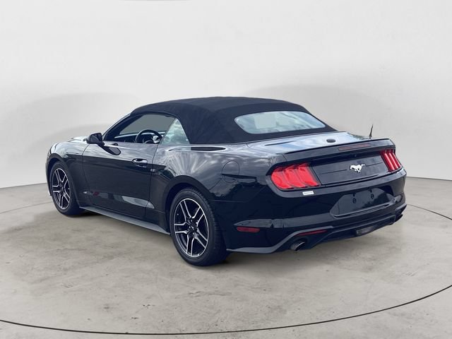 Used 2022 Ford Mustang Premium RWD image 3