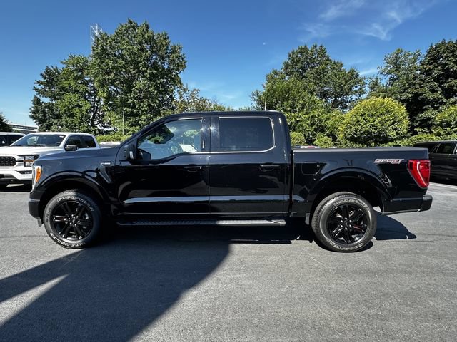 Certified 2023 Ford F150 XLT w/ Equipment Group 302A High AWD/4WD image 8