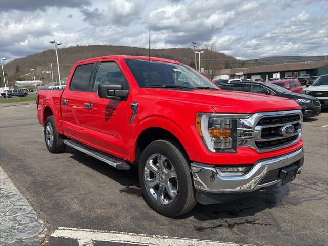 Used 2022 Ford F150 XLT w/ Equipment Group 302A High AWD/4WD image 3