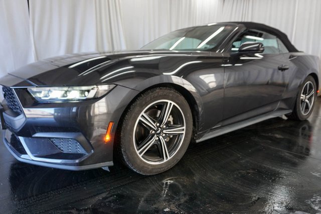 Used 2024 Ford Mustang Premium image 6