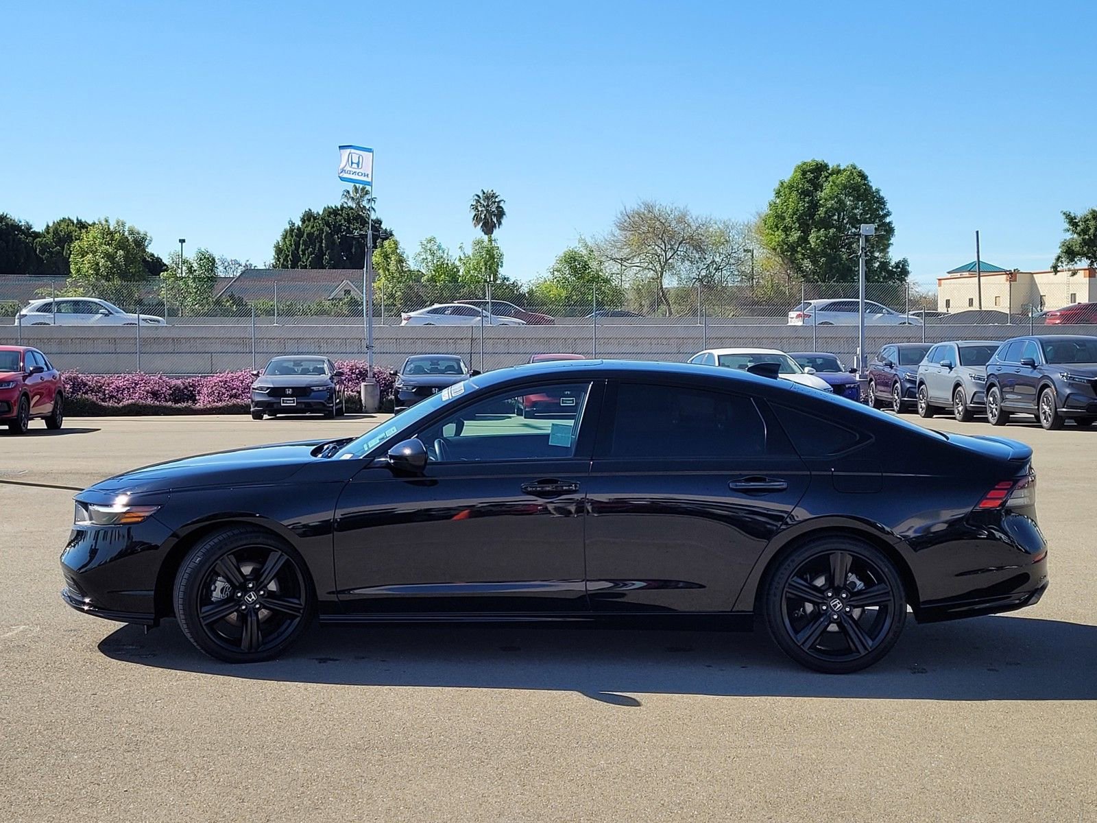 Certified 2024 Honda Accord Sport image 8