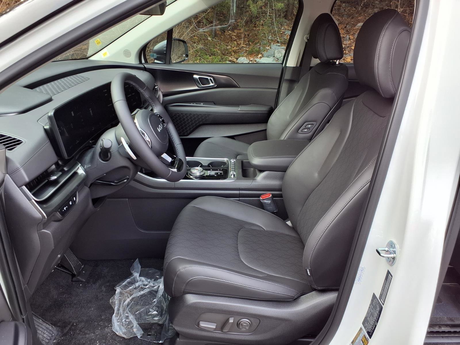 New 2026 Kia Carnival SX image 5