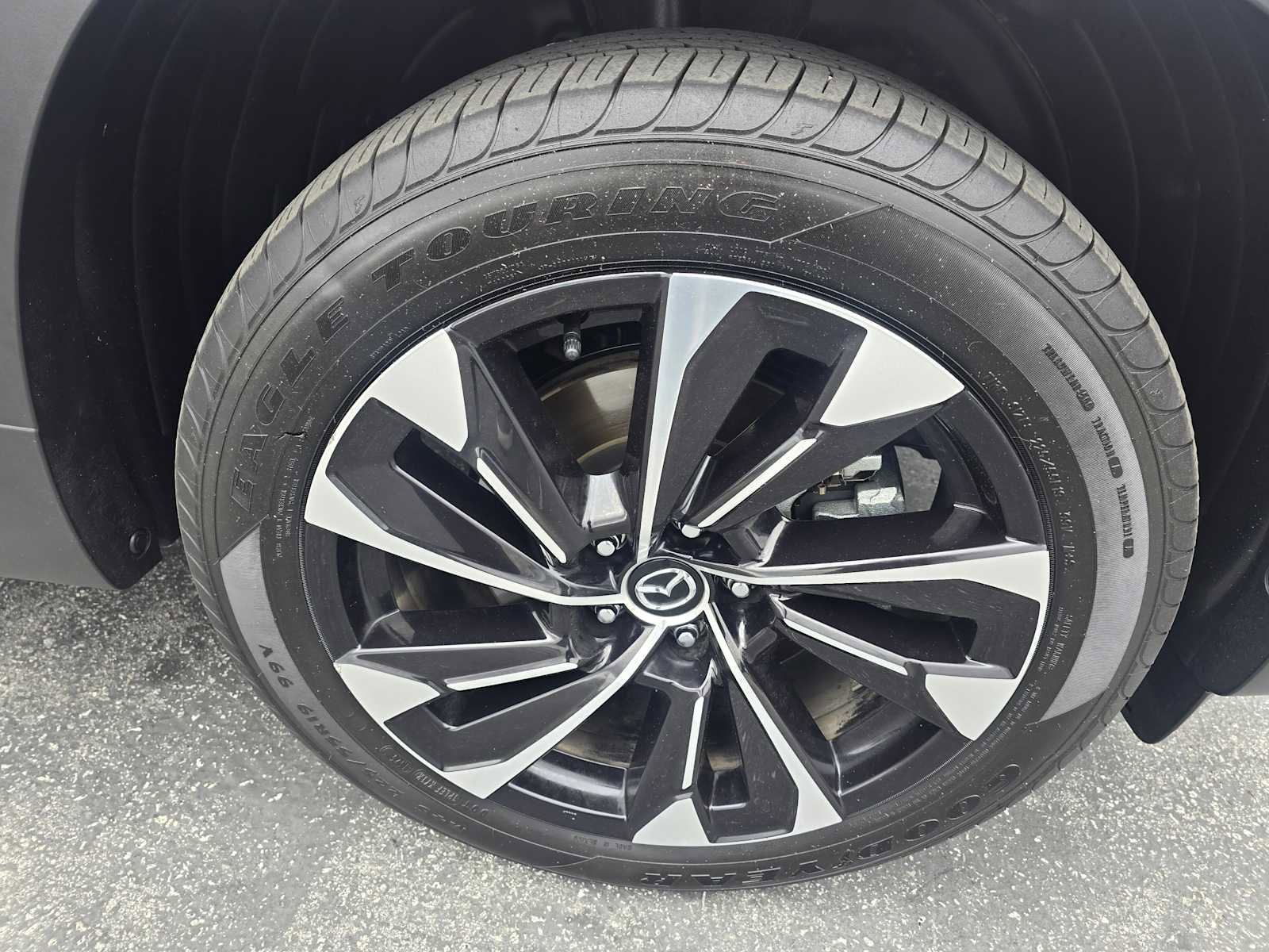 Used 2025 MAZDA CX-50 2.5 Hybrid w/ Premium Plus Pkg AWD/4WD image 9