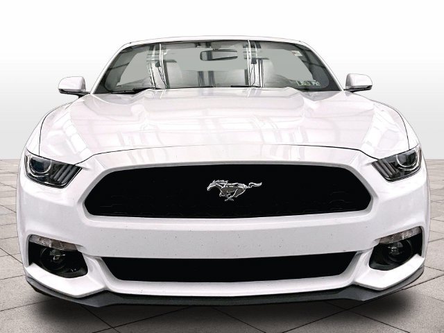 Used 2015 Ford Mustang Premium w/ Equipment Group 201A RWD image 3