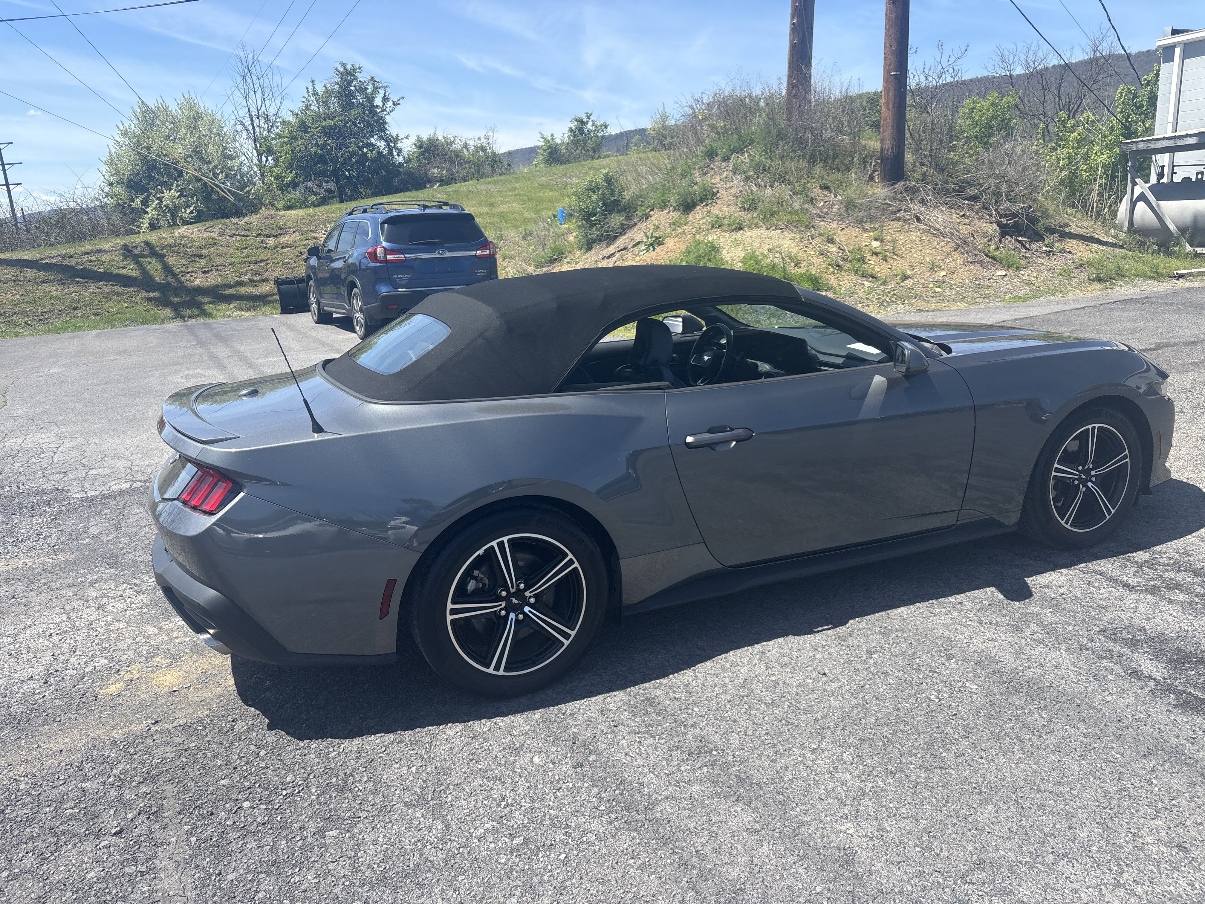 Used 2025 Ford Mustang Premium RWD image 5