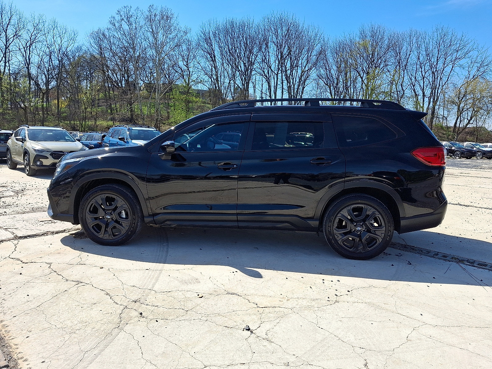 Certified 2024 Subaru Ascent Onyx Edition image 5