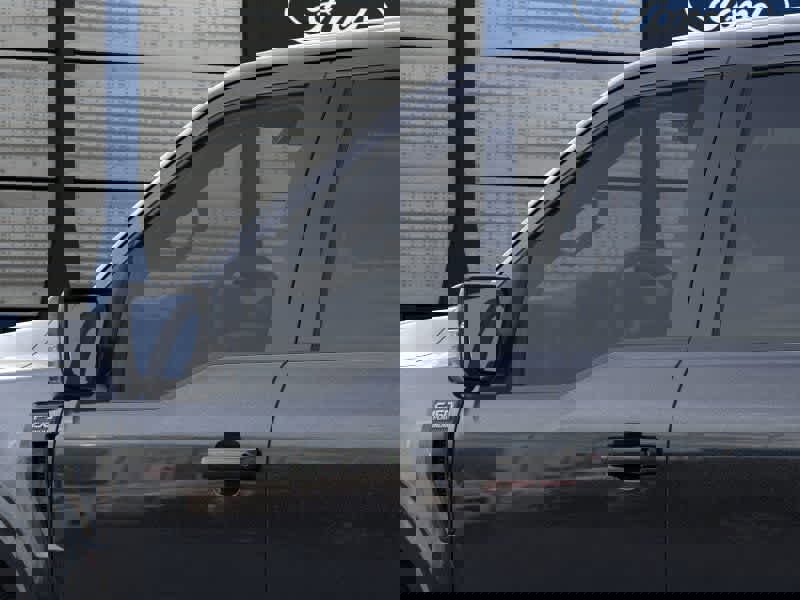 New 2026 Ford F150 Platinum image 20