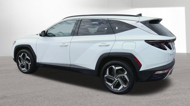 Used 2024 Hyundai Tucson Limited AWD/4WD image 6