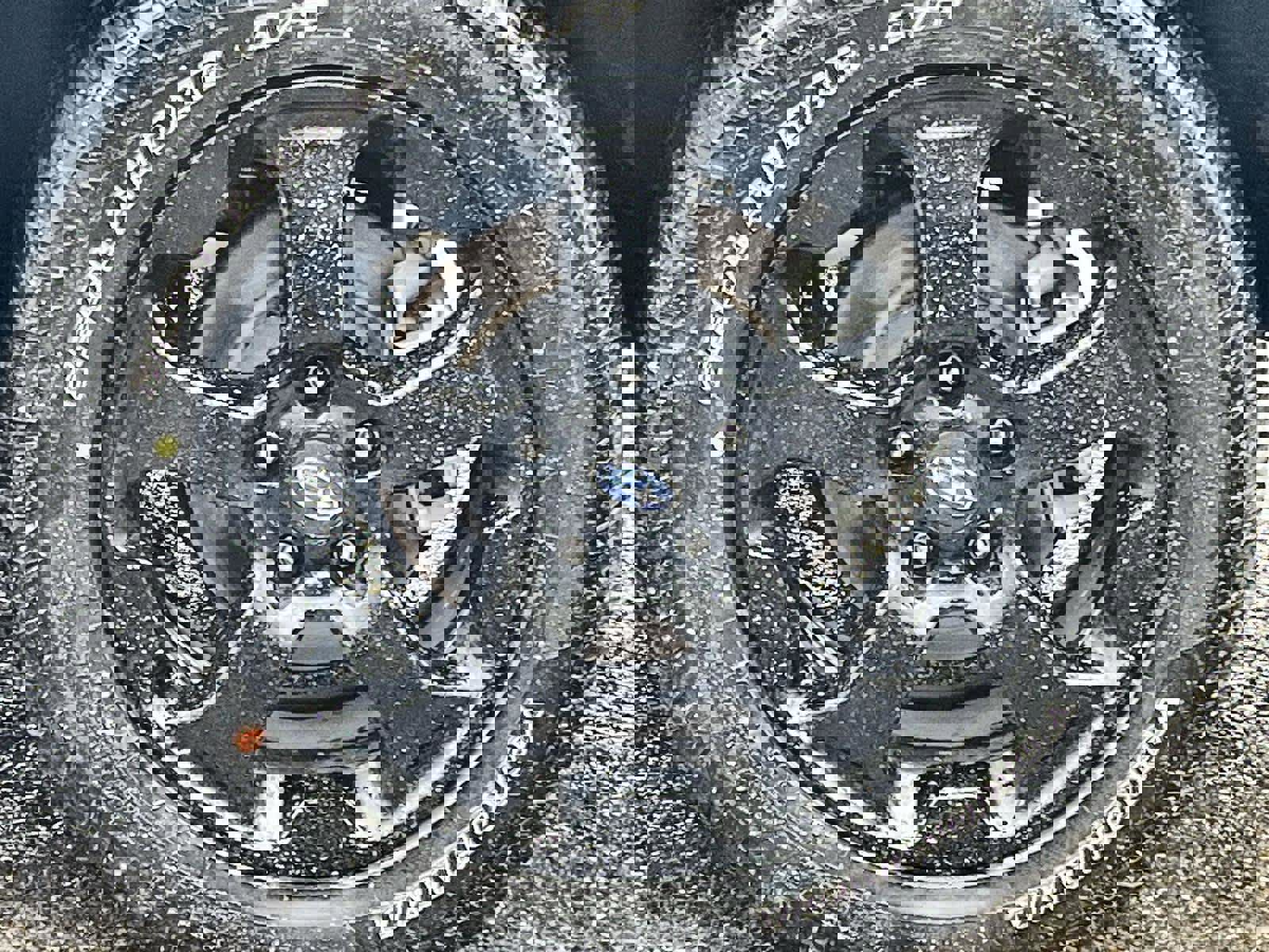 Certified 2025 Subaru Forester Wilderness image 11