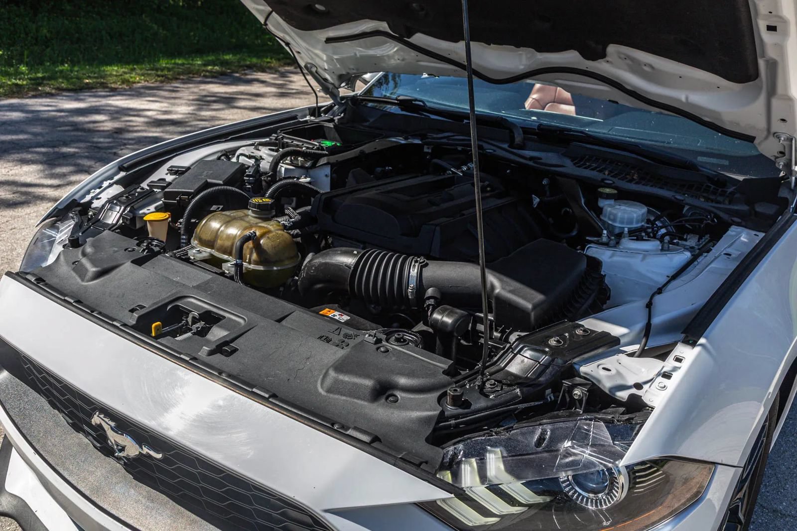 Used 2018 Ford Mustang Premium RWD image 75
