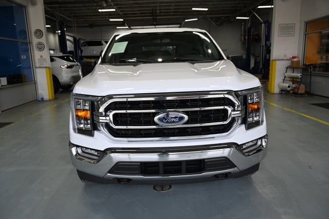 Used 2022 Ford F150 XLT w/ Equipment Group 302A High image 2