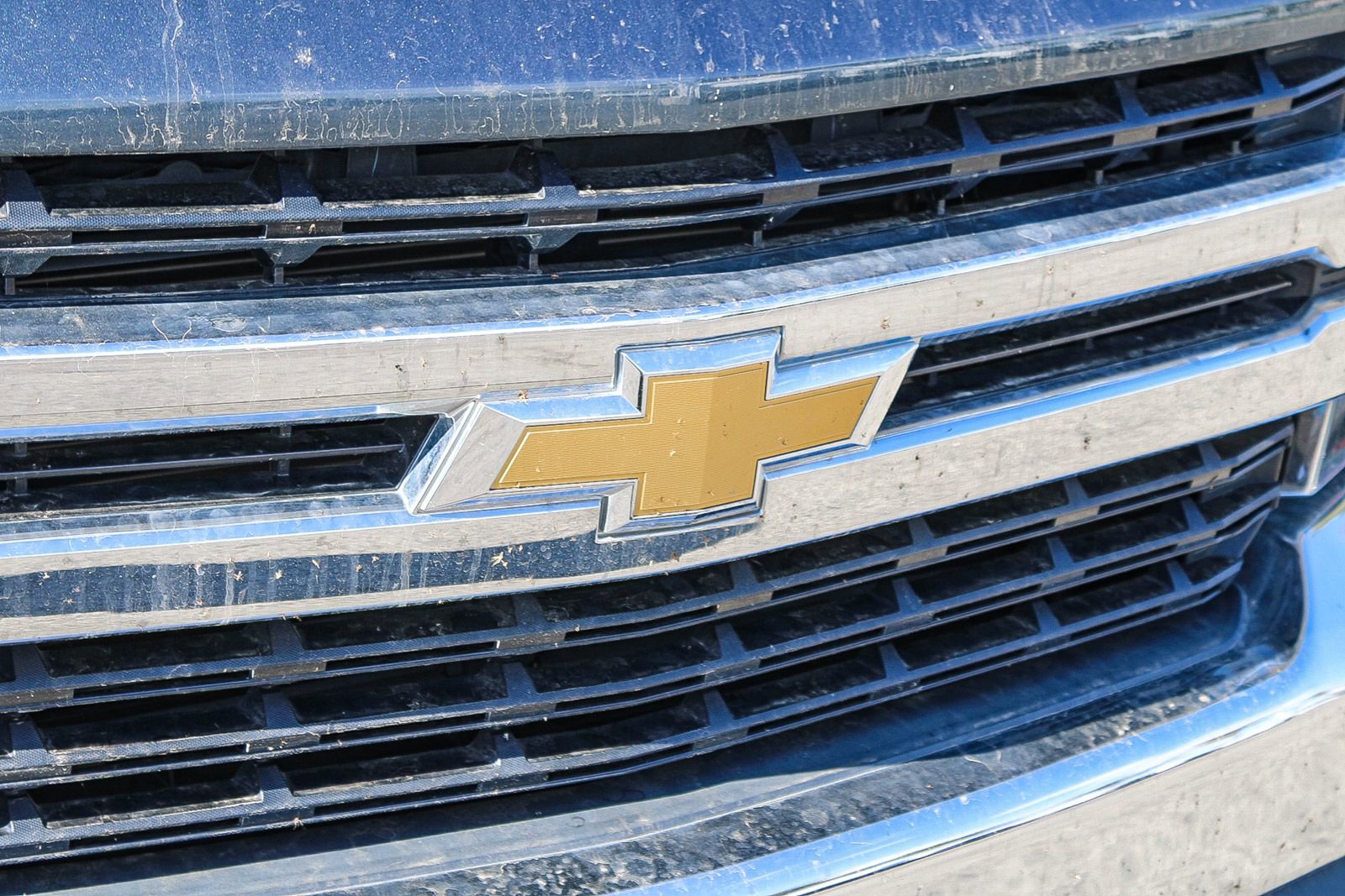 Used 2020 Chevrolet Silverado 1500 LT w/ All-Star Edition image 5