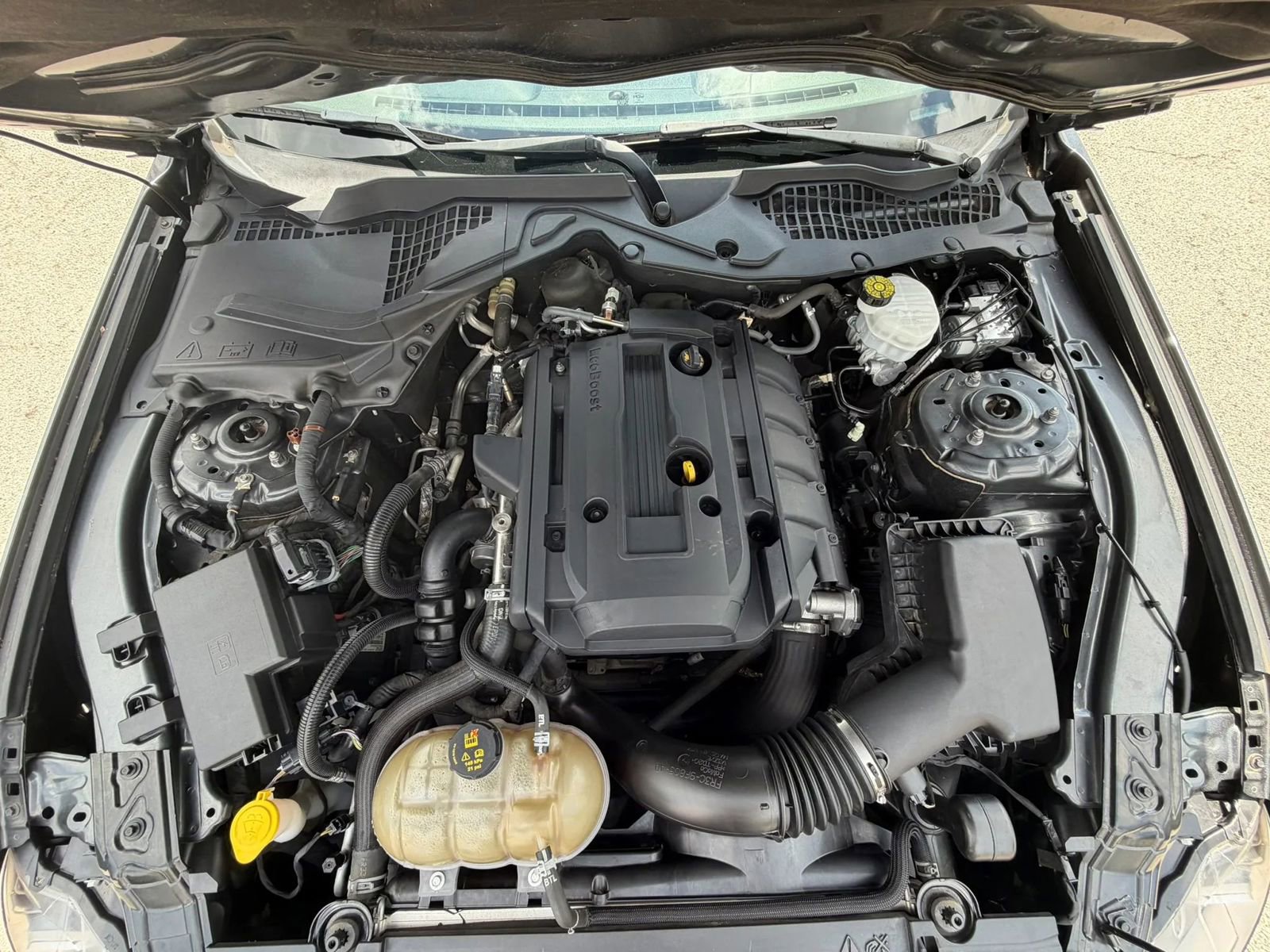 Used 2019 Ford Mustang Coupe image 24