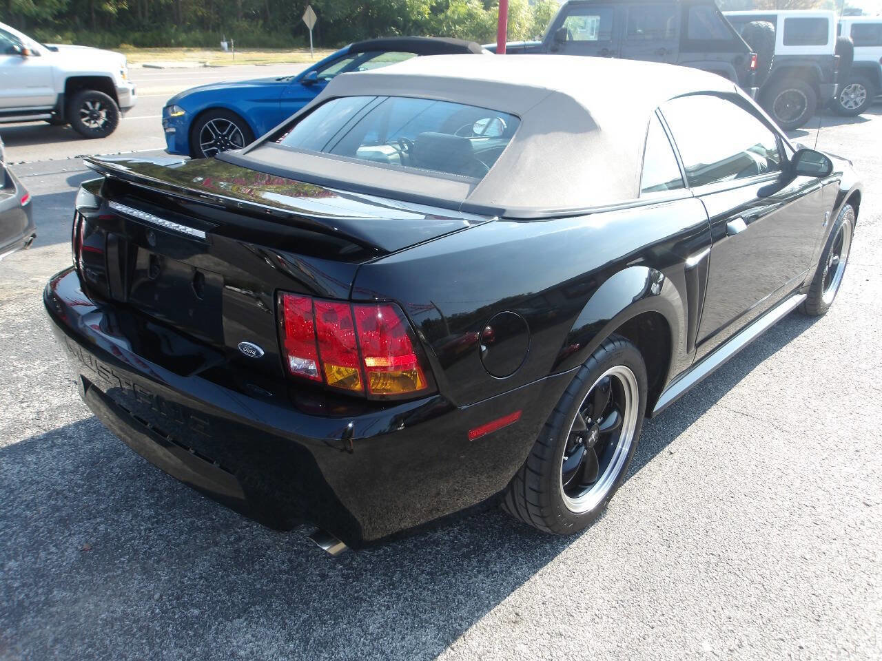 Used 1999 Ford Mustang Cobra image 6