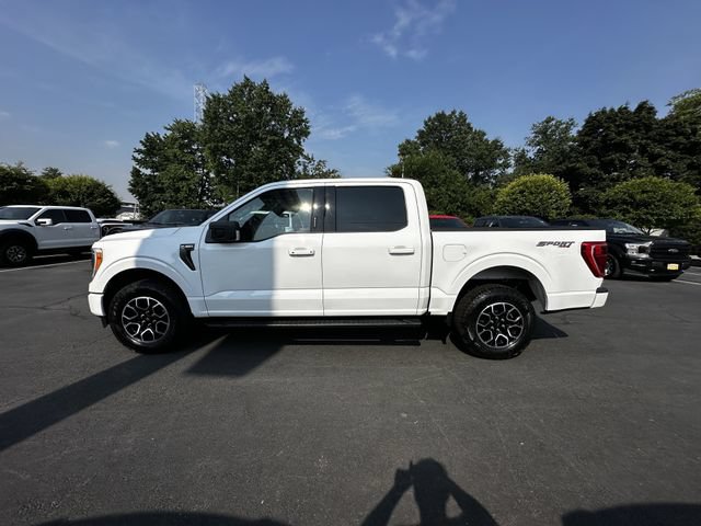 Certified 2023 Ford F150 XLT w/ Equipment Group 302A High AWD/4WD image 8