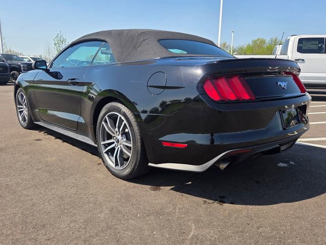 Used 2015 Ford Mustang Premium RWD image 15