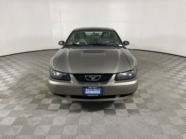 Used 2001 Ford Mustang Coupe image 23