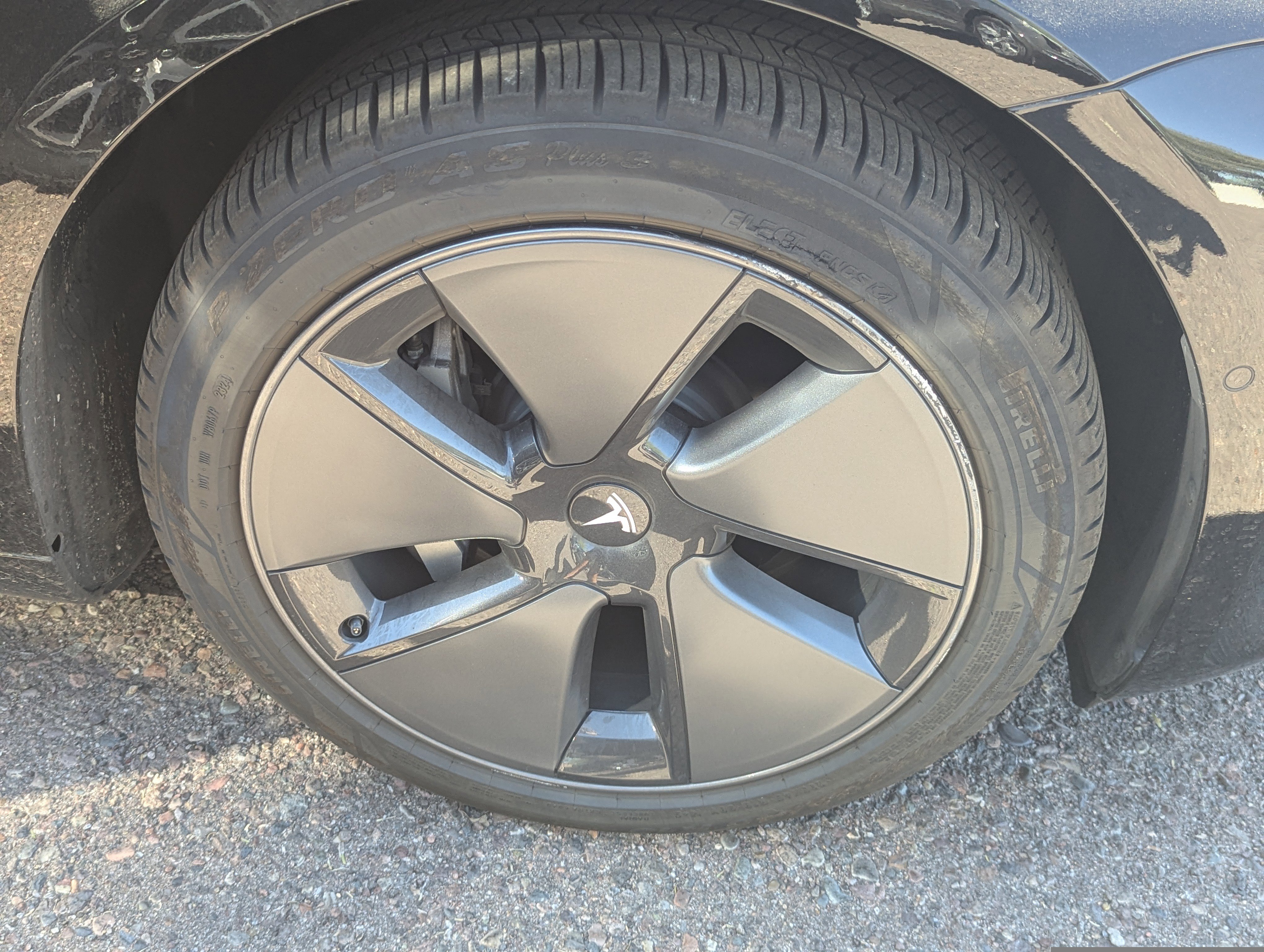 Used 2021 Tesla Model 3 Standard Range Plus image 7