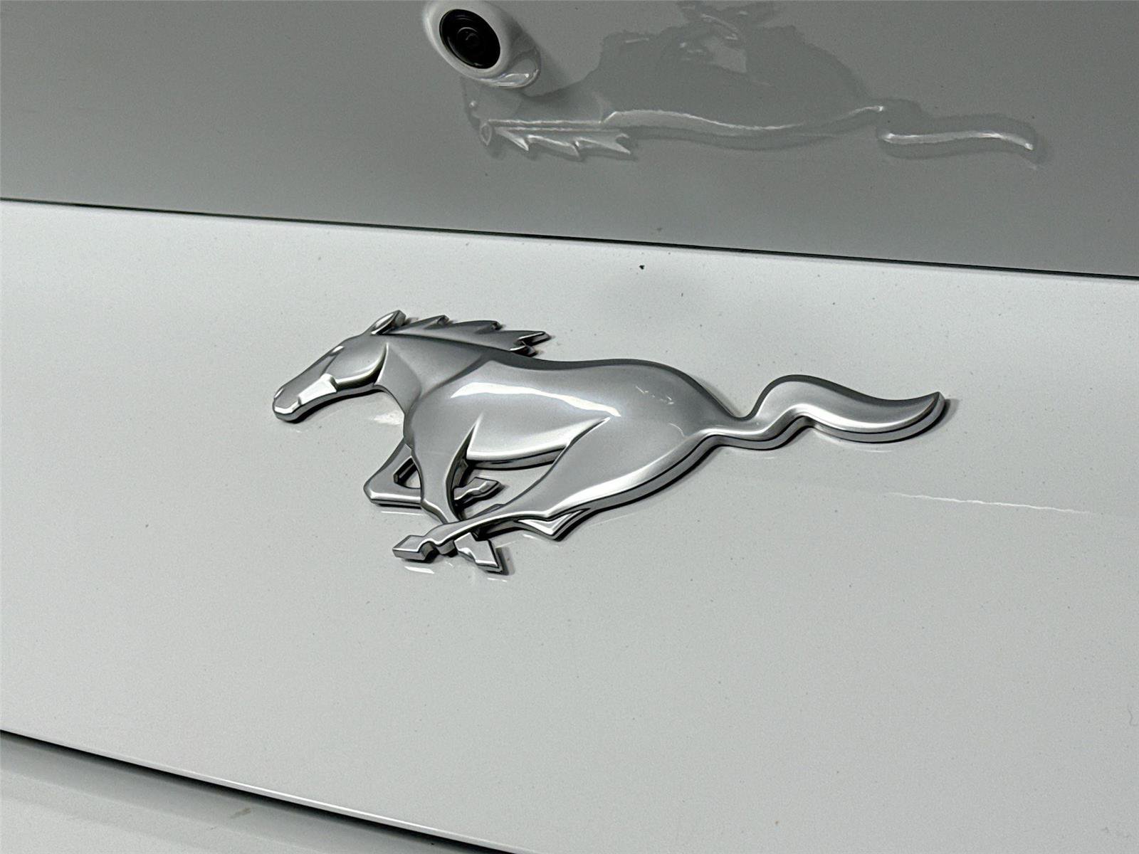 Used 2025 Ford Mustang Premium RWD image 17