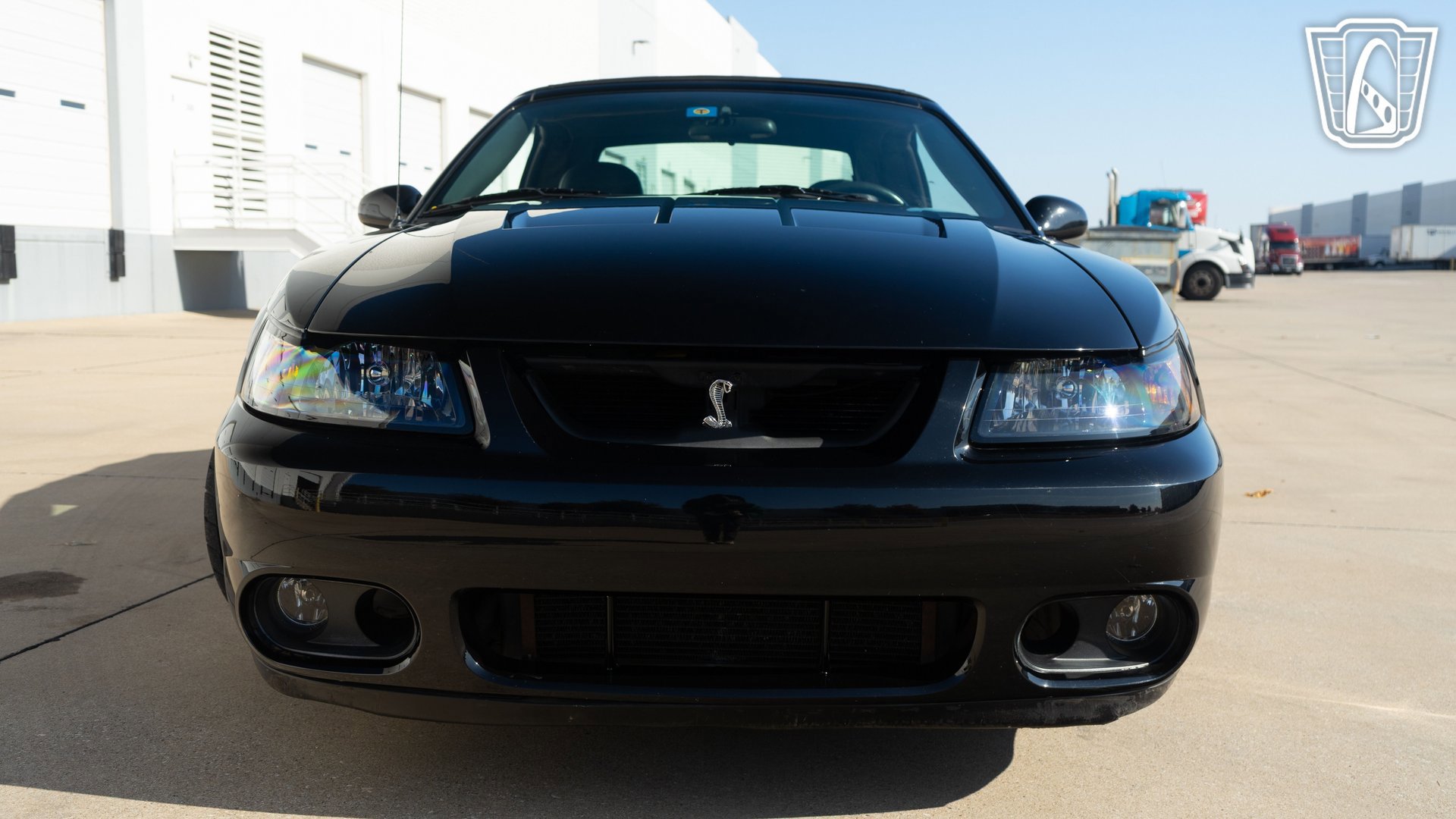 Used 2003 Ford Mustang Cobra image 24