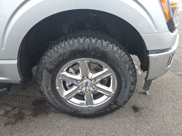 Certified 2025 Ford F150 XLT w/ Equipment Group 301A Standard image 2