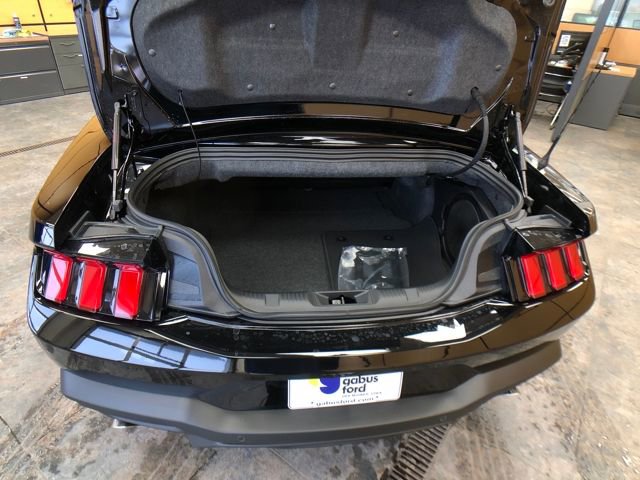 New 2026 Ford Mustang GT Premium image 21