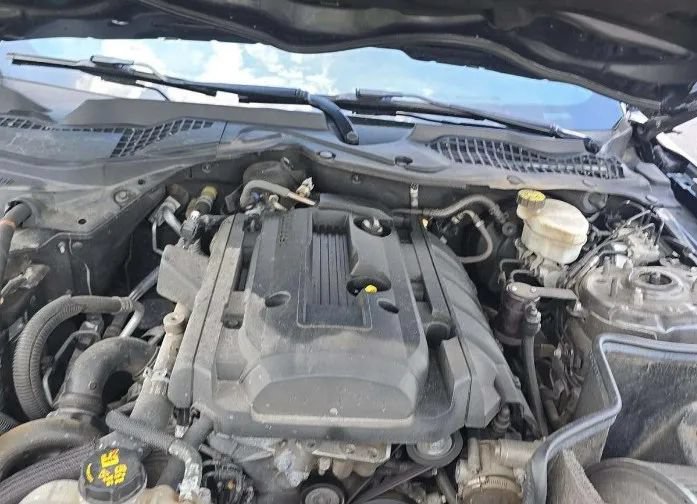 Used 2019 Ford Mustang Coupe w/ Black Accent Package RWD image 45