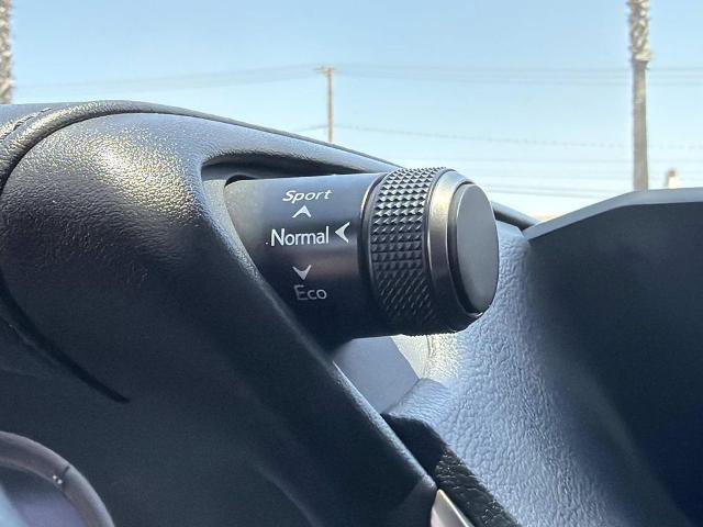 Used 2019 Lexus ES 350 F Sport w/ Accessory Package 2 FWD image 28