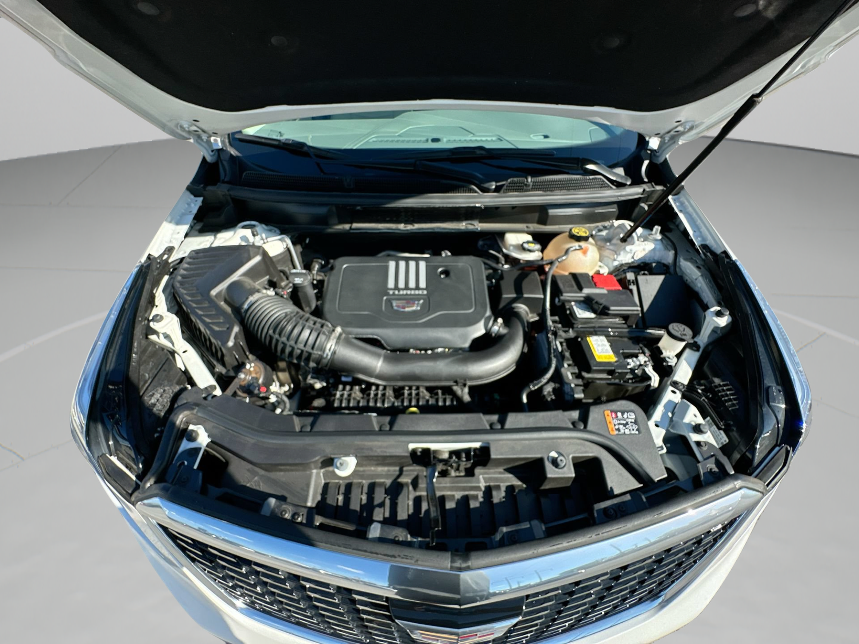 Used 2023 Cadillac XT5 Premium Luxury FWD image 18