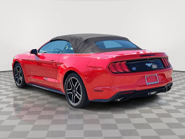 Certified 2023 Ford Mustang Premium RWD image 4