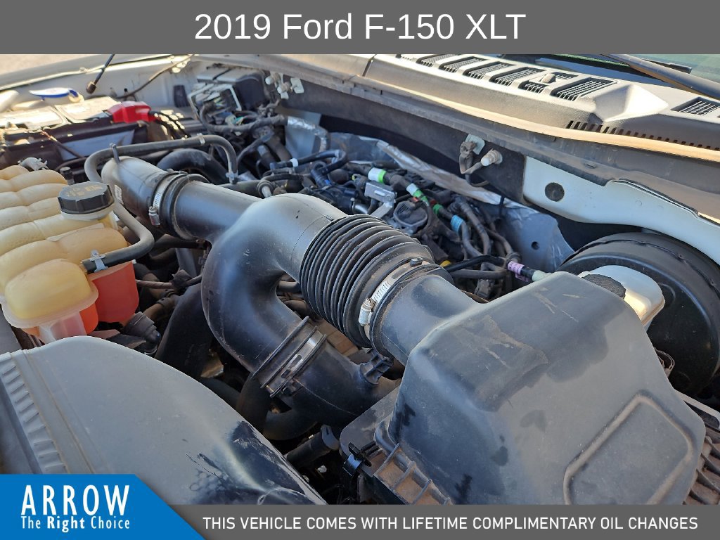 Used 2019 Ford F150 XLT w/ Equipment Group 302A Luxury RWD image 15