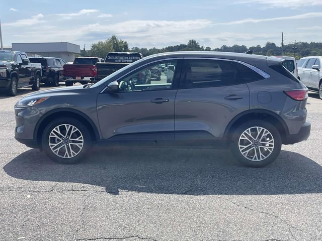 Used 2022 Ford Escape SEL image 7