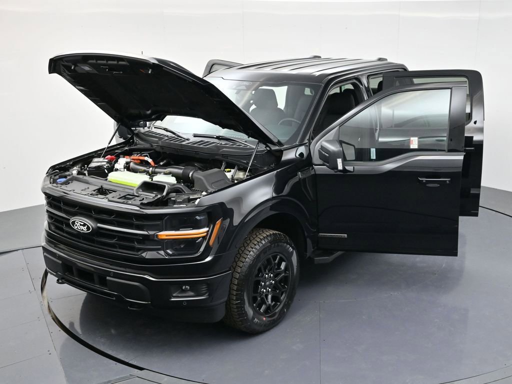 New 2025 Ford F150 XLT w/ Equipment Group 302A MID image 40