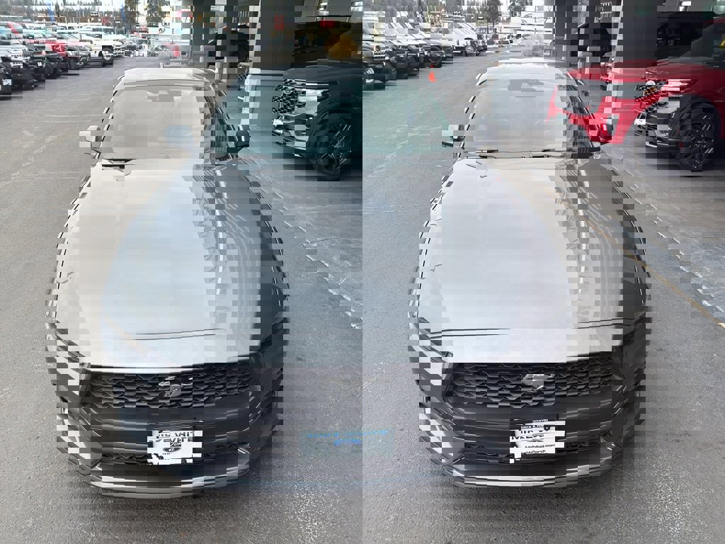 New 2026 Ford Mustang Premium image 3