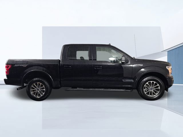 Used 2019 Ford F150 XLT w/ Equipment Group 302A Luxury image 8
