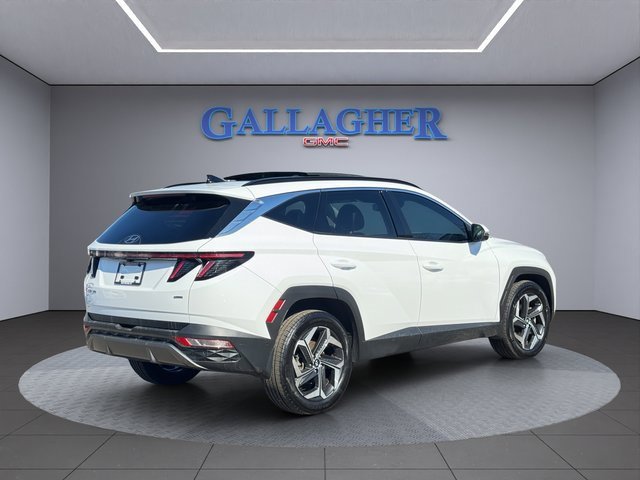 Used 2024 Hyundai Tucson Limited image 4