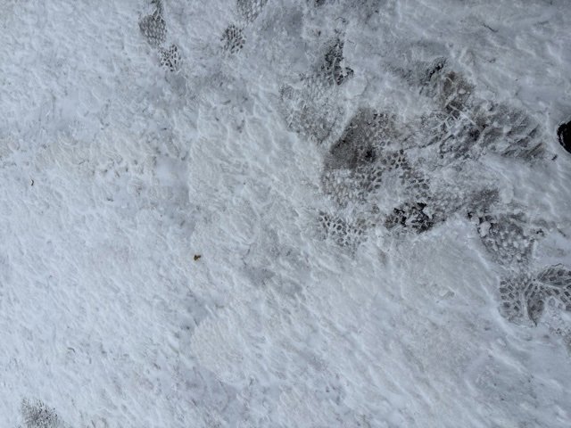 Used 2025 Buick Envision Preferred image 24