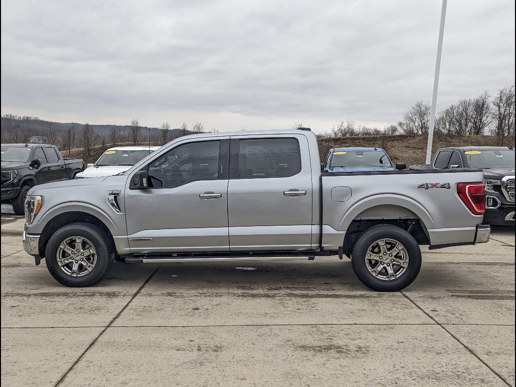 Used 2023 Ford F150 XLT w/ Equipment Group 302A High image 9
