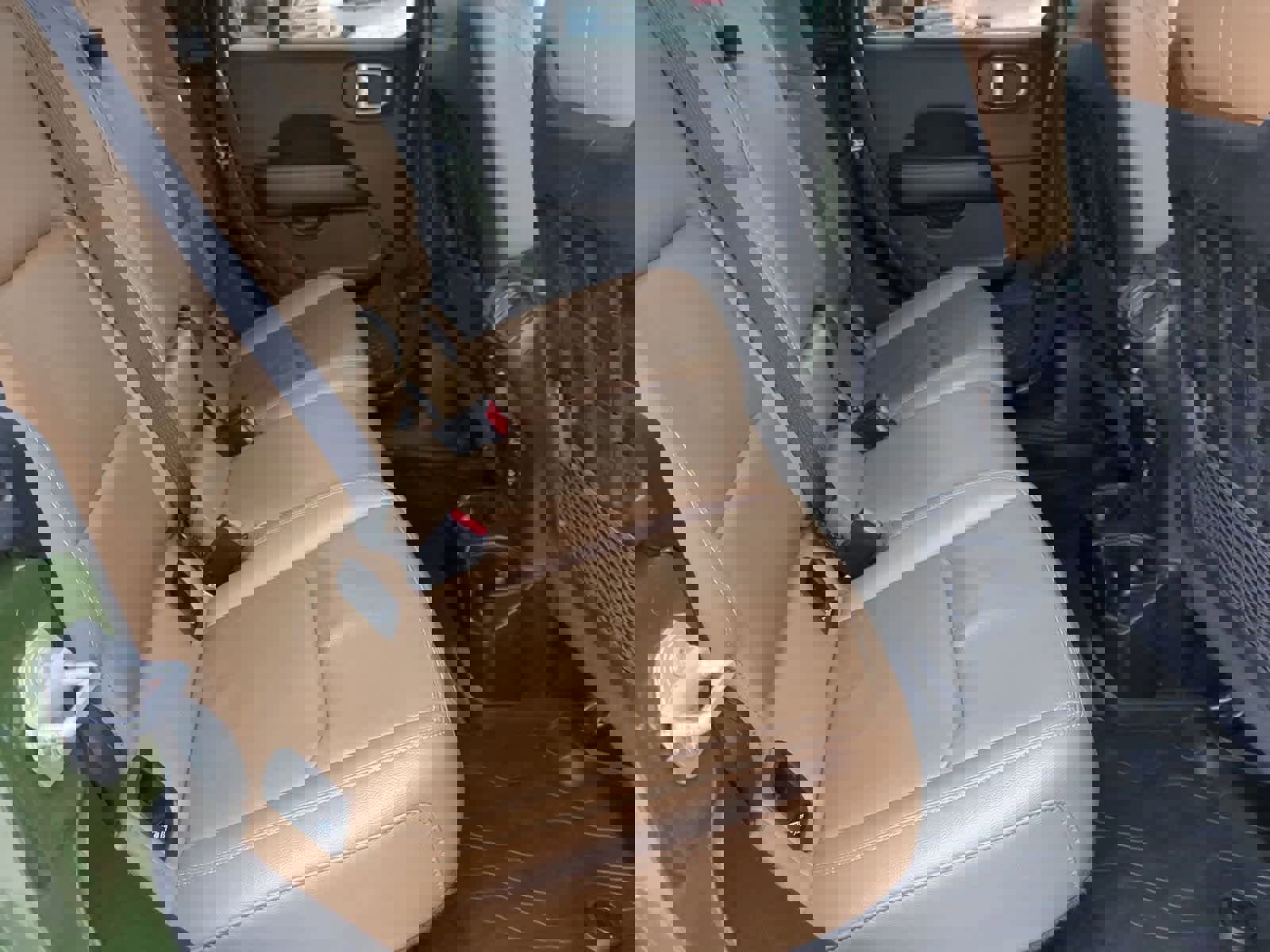 Used 2021 Jeep Gladiator Rubicon image 20