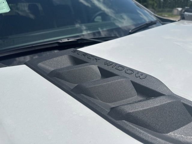 New 2025 Chevrolet Silverado 1500 RST image 44