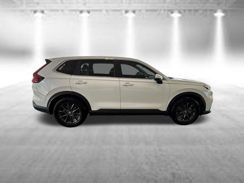 Used 2026 Honda CR-V EX-L image 3