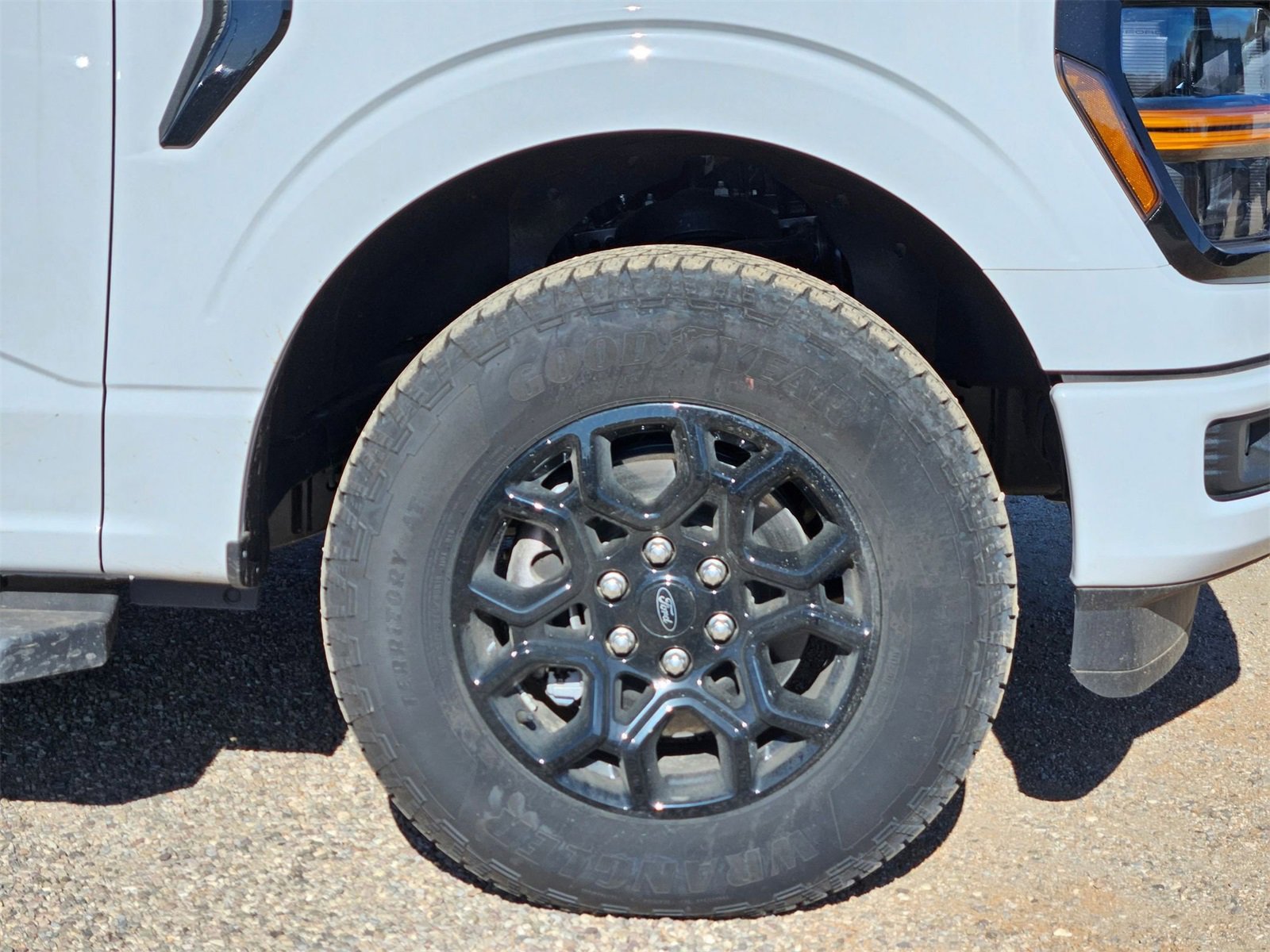 New 2025 Ford F150 XLT w/ Equipment Group 302A MID image 10