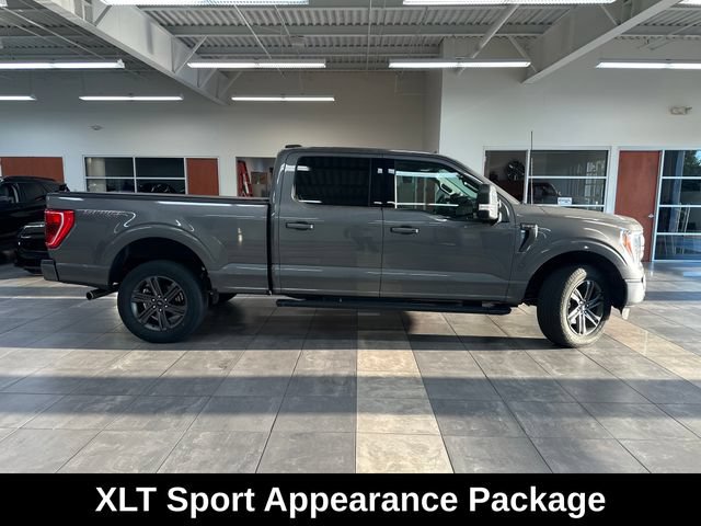Used 2023 Ford F150 XLT w/ Equipment Group 302A High AWD/4WD image 12