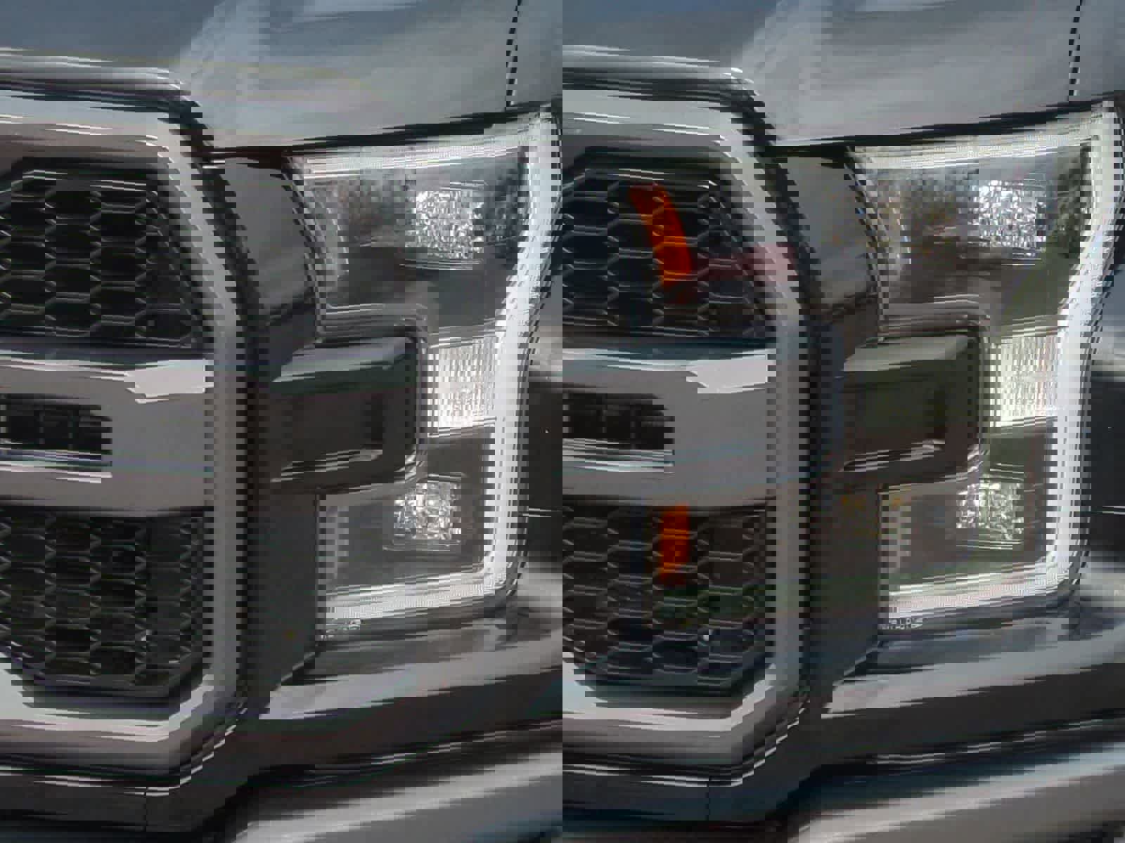 Used 2018 Ford F150 Raptor w/ Equipment Group 802A Luxury image 11