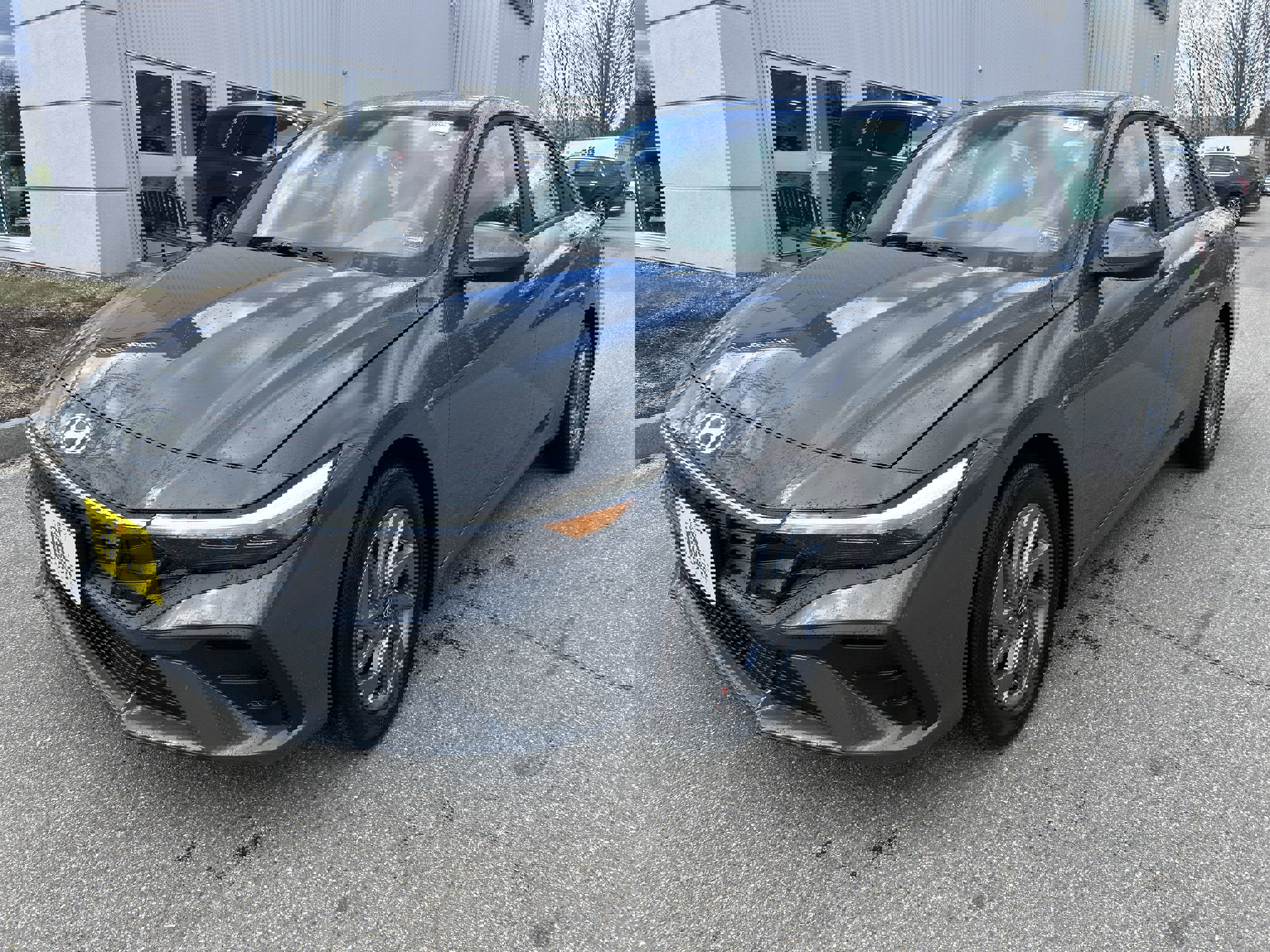 New 2025 Hyundai Elantra Blue