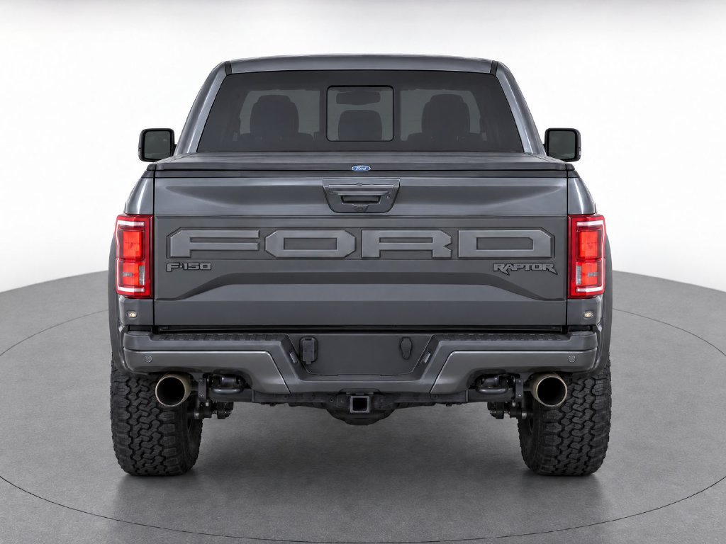 Used 2019 Ford F150 Raptor w/ Equipment Group 802A Luxury AWD/4WD image 9